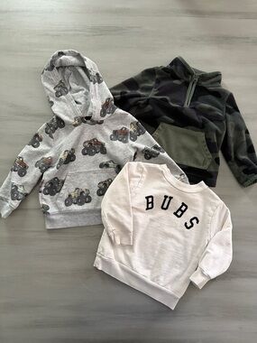 Boys 18 Month Sweatshirt Bundle Monster Trucks, Camo, Bubs